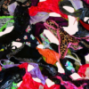 B07JNX2dZsptAN4KUW9LfzUXvz0psk0xBR9Jt6o3 Wholesale 50 Womens Assorted Designs Thongs G-Strings