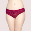Djk5U5KpX3FdfnjPtPyH1NfIKPAeD3EpLswEGoUO Beautiful Lace Hot Bikini Panty (Pk of 2)
