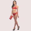 NVgaLEbGa8gz98cLaqWoXZtj7uHZ5y0xkUDlTkJt Fancy Hot Red Embroidery Bra Brief Set