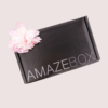 YEFr93KZ8yQ1I5pWIZIKY1TIndXsXSBpGw7bnutb Daina Luxe Panties>French Knickers Set – 3 Pack Gift Box