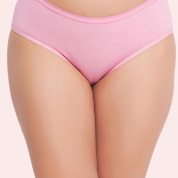 48 Pack of Womens Panties in Wholesale