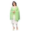 51955871421 2700b00b57 o d 1000x1000 1 Women's Cotton Silk Strips Printed Dupatta (Parrot Green, Length:2-2.4 mtr)