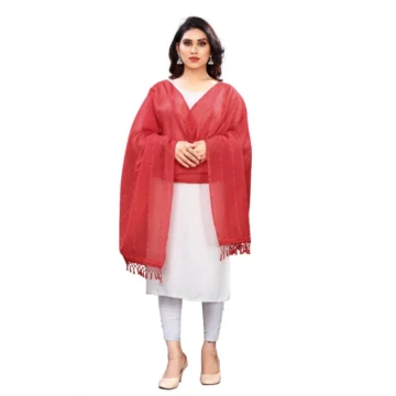Women's Cotton Silk Strips Printed Dupatta (Maroon, Length:2-2.4 mtr)