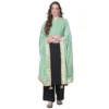 53511129862 1a6e0250ea o d 1000x1000 1 Women's Velvet Gotta Patti Dupatta (Sea Green, Length: 2.25 to 2.50 Mtr)