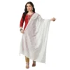 53768520938 142ba4ea29 o d 1000x1000 1 Women's Chanderi Self Design Dupatta (White, Length: Free Size)