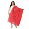 53768742305 ee5878e546 o d 1000x1000 1 Women's Chanderi Self Design Dupatta (Rani, Length: Free Size)