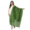 53768742445 a49775e07d o d 1000x1000 1 Women's Chanderi Self Design Dupatta (Mehandi, Length: Free Size)