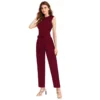 54162970671 5519c65e5a o d 1000x1000 1 Women's Knitting stretchable Solid Round Neck Sleeveless Jumpsuit (Maroon)