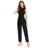 54163286144 58585a51b3 o d 1000x1000 1 Women's Knitting stretchable Solid Round Neck Sleeveless Jumpsuit (Black)