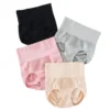 PID 66795 229 Panty Multicolor 2 1000x1000 1 Pack of 2 229 Women's High-Waisted Briefs (Multicolor)