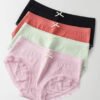 PID 66857 2020 women s Cotton High Waist Full Coverage Briefs Multicolor 1 women's Cotton High Waist Full Coverage Briefs Free Size (Multicolor)