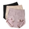 PID 67791 Nylon Women s Seamless High Waist Hipster 105 Panty Free Size Multicolor 1 Nylon Women's Seamless High Waist Hipster 105 Panty Free Size (Multicolor)